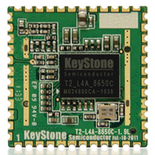 Keystone DAB DAB+ FM T2-L4A-8650C Module (5 in a pack) - Click Image to Close